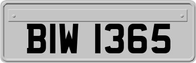 BIW1365