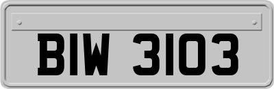 BIW3103