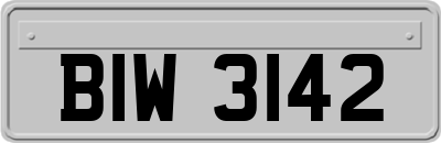 BIW3142