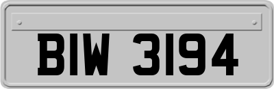 BIW3194