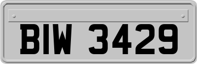 BIW3429