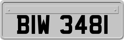 BIW3481