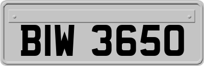 BIW3650