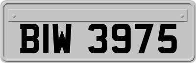 BIW3975