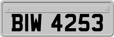 BIW4253