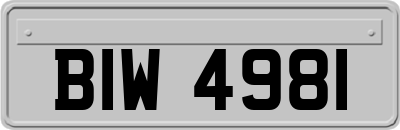 BIW4981