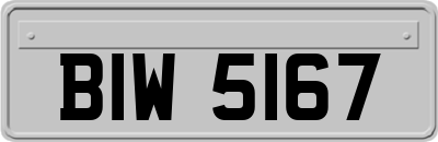 BIW5167