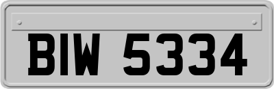 BIW5334