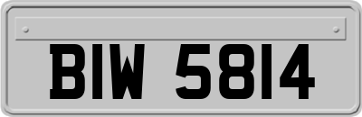 BIW5814