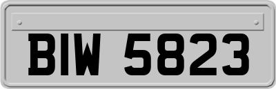 BIW5823