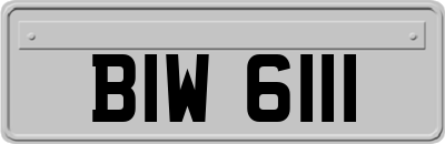 BIW6111