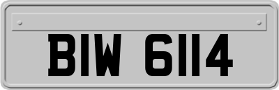 BIW6114