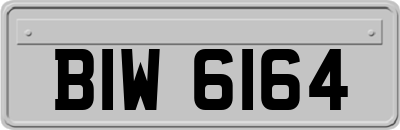 BIW6164