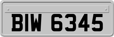 BIW6345