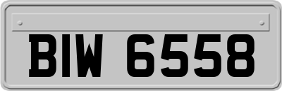 BIW6558