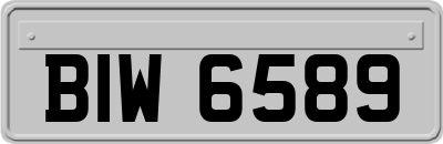 BIW6589