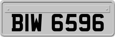 BIW6596