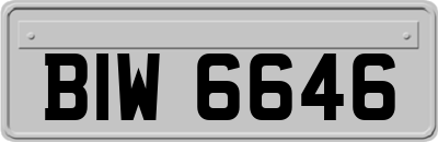 BIW6646