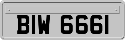 BIW6661
