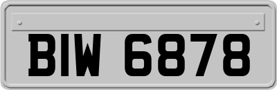 BIW6878