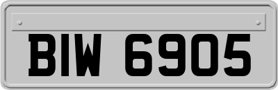 BIW6905