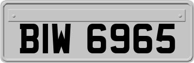 BIW6965