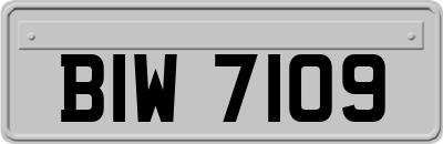 BIW7109