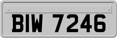 BIW7246