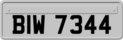 BIW7344