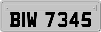 BIW7345