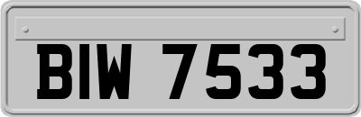 BIW7533