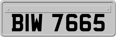 BIW7665