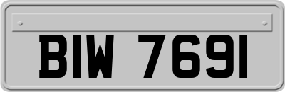 BIW7691