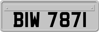 BIW7871