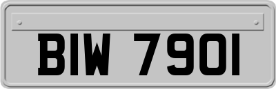 BIW7901