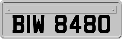 BIW8480