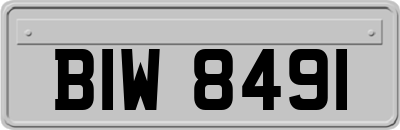 BIW8491