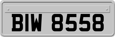 BIW8558
