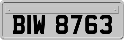 BIW8763