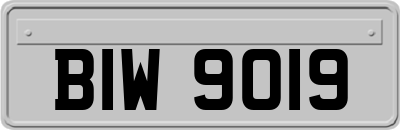 BIW9019