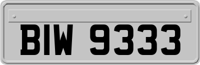 BIW9333