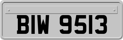 BIW9513