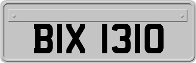 BIX1310