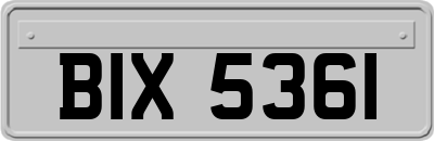BIX5361