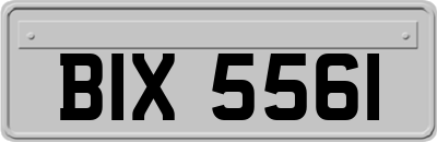 BIX5561