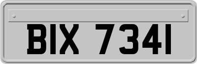 BIX7341