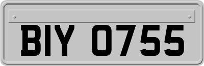 BIY0755