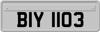 BIY1103