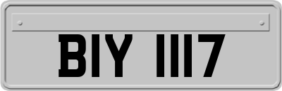 BIY1117