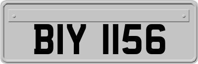BIY1156